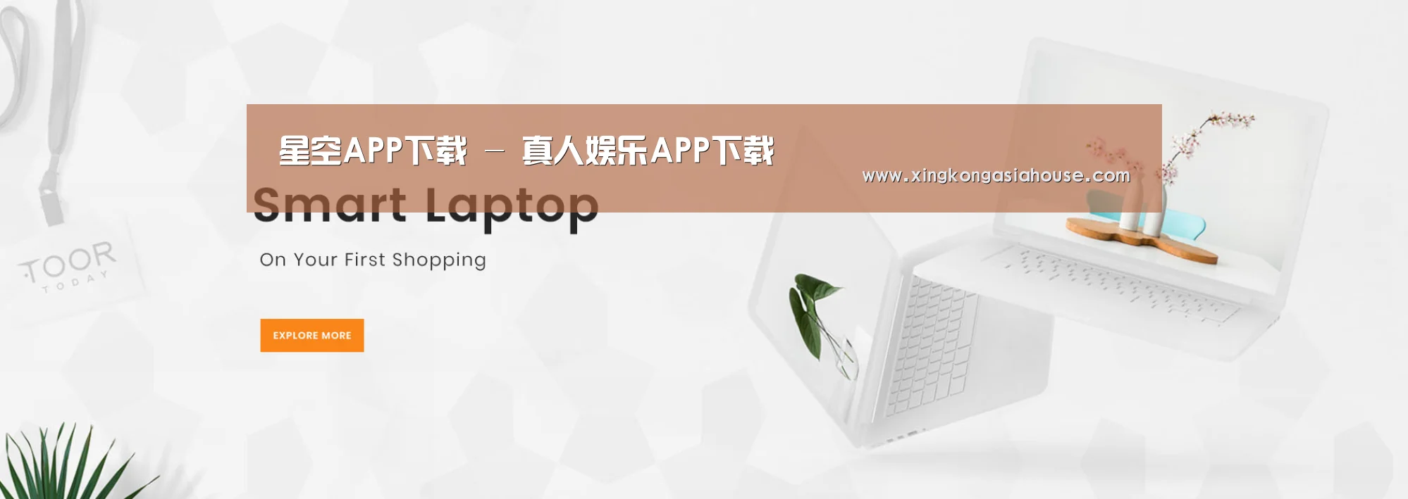 某某网络科技有限公司