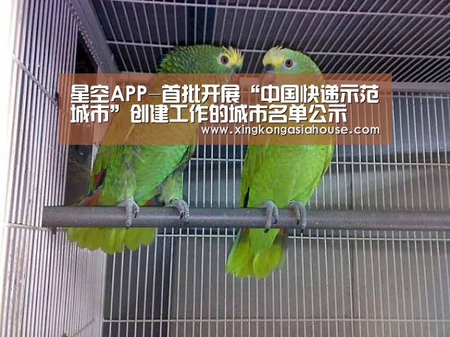 星空APP