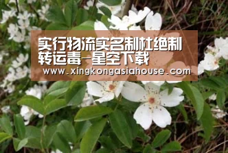 实行物流实名制杜绝制转运毒-星空下载(图2) 星空官网