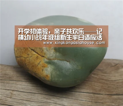开学初体验,亲子共欢乐——记横幼小班年级组新生半日适应活动“星空电竞”(图1) 星空官网