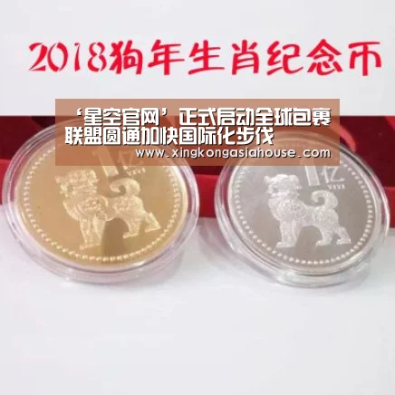 ‘星空官网’正式启动全球包裹联盟圆通加快国际化步伐(图1) 星空电竞