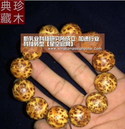 星空电竞