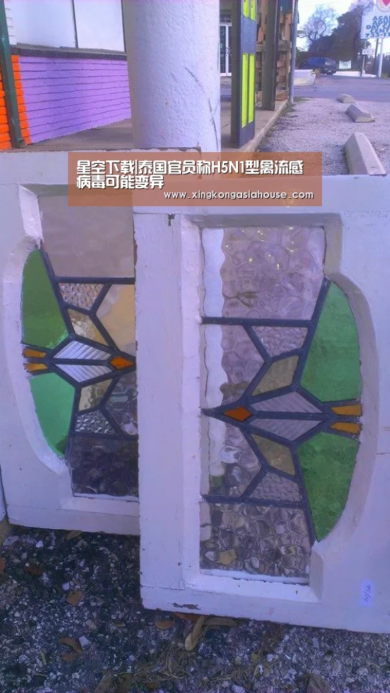 星空下载|泰国官员称H5N1型禽流感病毒可能变异(图4) 星空下载